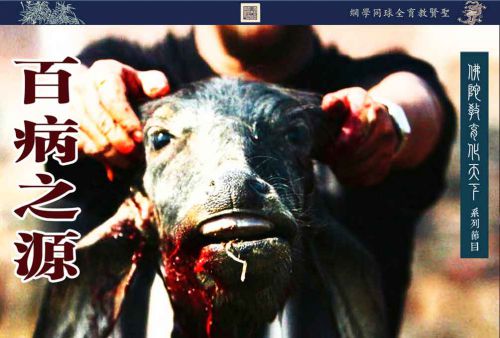 【佛陀教育化天下】百病之源